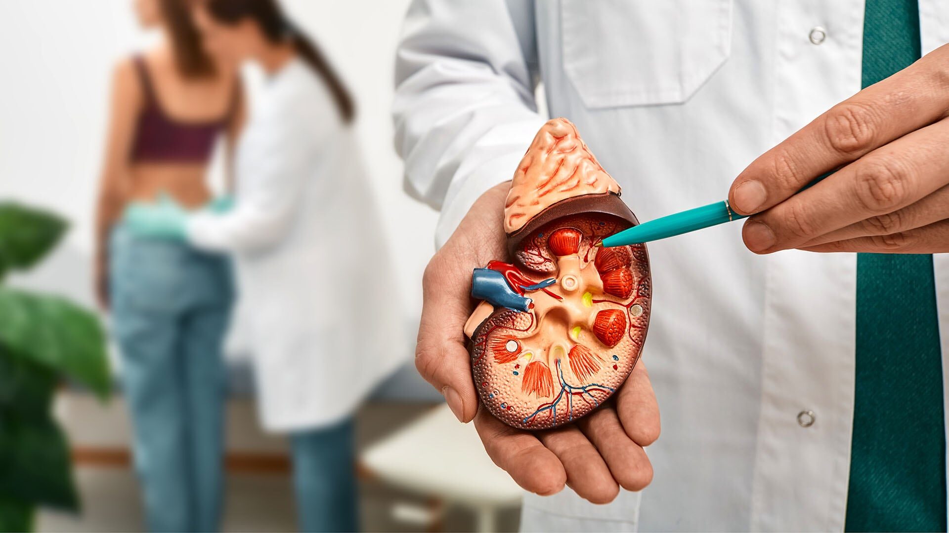Fomentamos el Avance Científico en la Salud Renal y Cardiovascular en Panamá